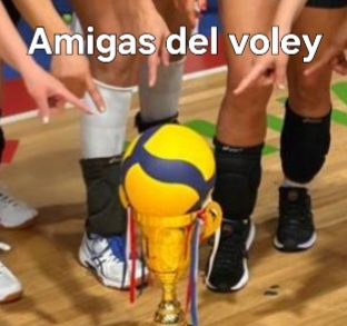 Logo de Amigas del Voley